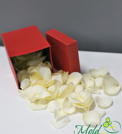 Коробочка с белыми лепестками роз Фото 394x433